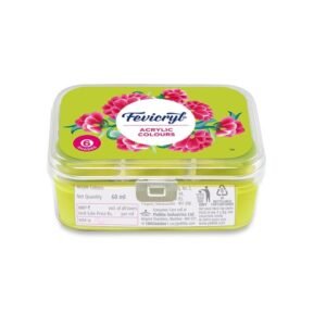 Acrylic Colours - Fevicryl Set Of 6