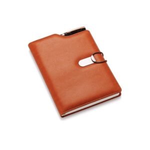 Executive Diary