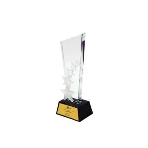 Trophy Medium Crystal